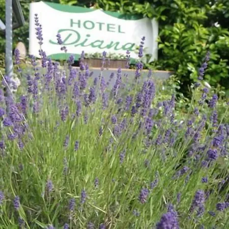 ホテル Diana Garni マレンテ